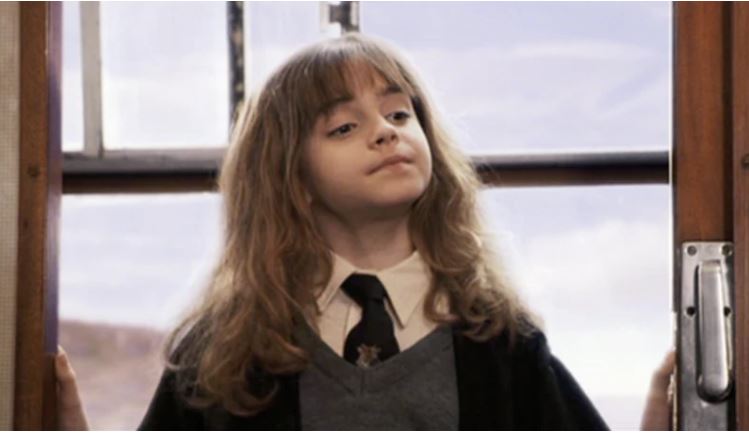 Hermione Granger (Emma Watson) from Harry Potter; function of sidekicks in fiction