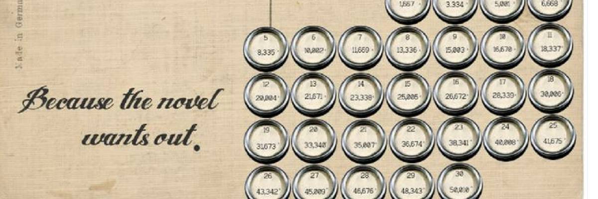 NaNoWriMo – One Year Later – Decoding Creativity